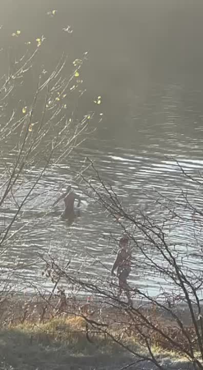 ���� 18 ������. ������� � �������