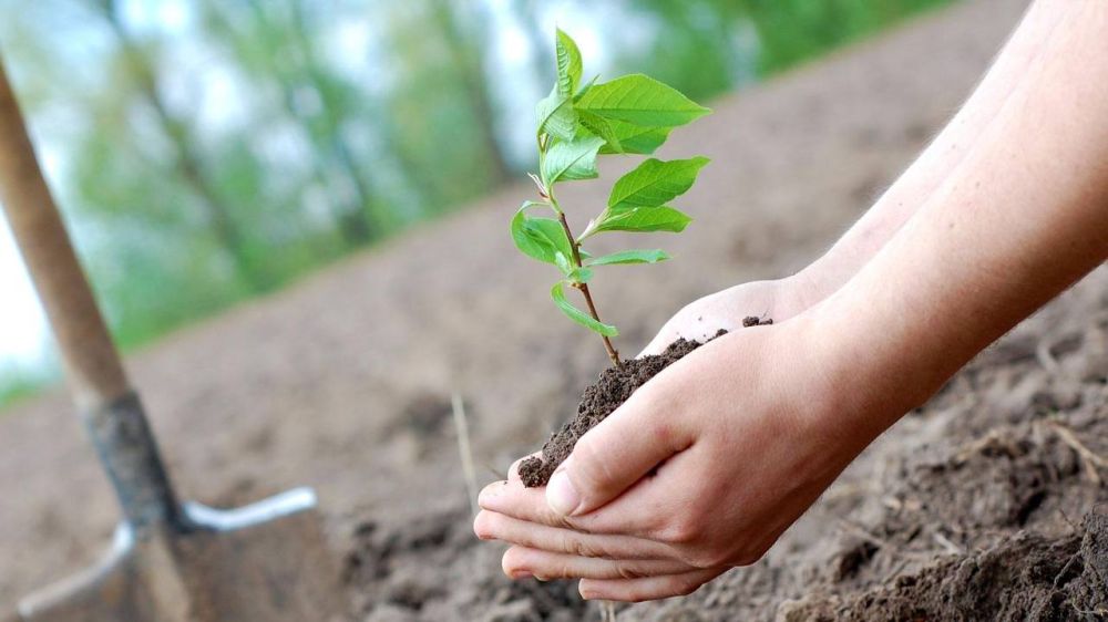 ���� �������� �� ��������� � ���������� ���������: � ��������� ������� �� ���������� ��������� �������� 470 �������� ��� � 150 �����