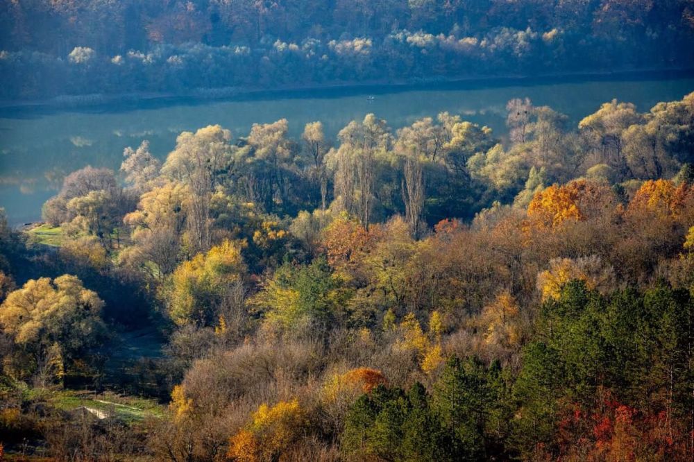 � ����� ������� �����,. ������ �������� ������,-