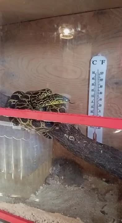 ����� ���� ��������� �� �����