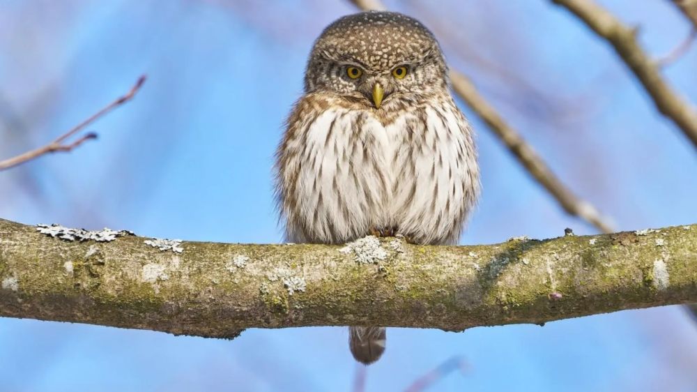 ����������� ������� ����� ��������� ���� � ������