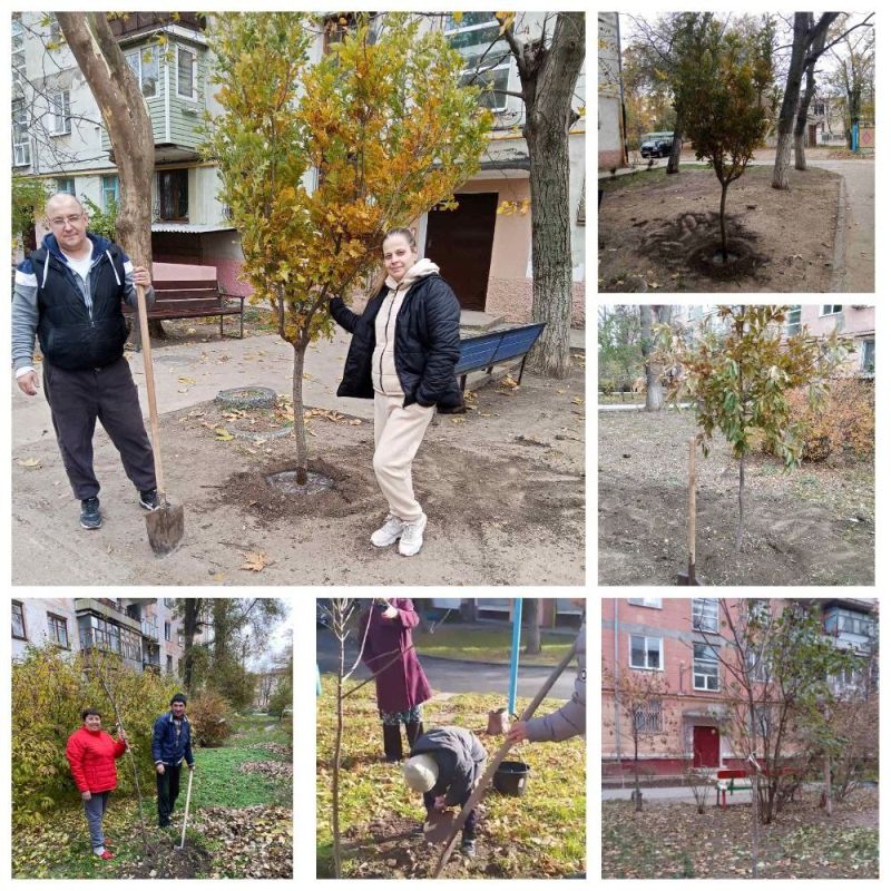 "Посади семейное дерево" – вклад в будущее города и семьи