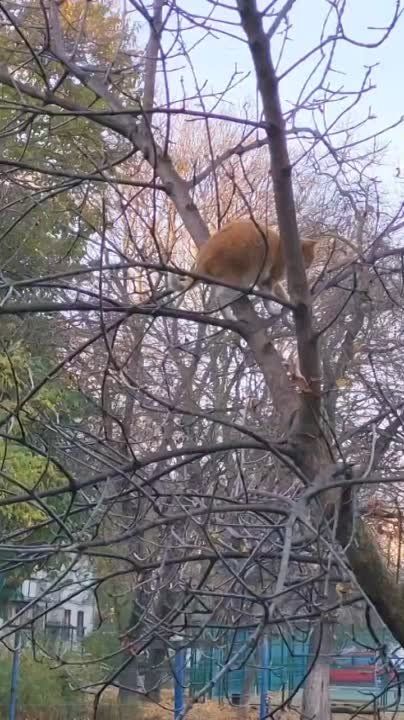 �� ������, � ������