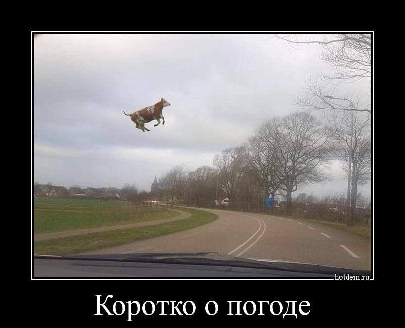 ��� �������� ������ ����� �� 15-18 ������ ������ ����