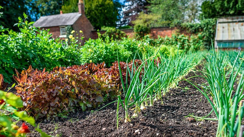 ������������� ���������� ���������� ������� �� ������ ���������� �� ���������� ����� ��� ������� � ������ ��������� ��������� � 1 ������ �� 1 ���� 2025 ����