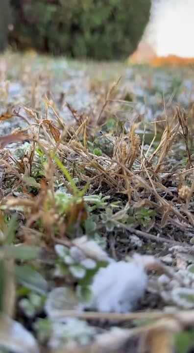 ����� �������� ���������� � ����� �������