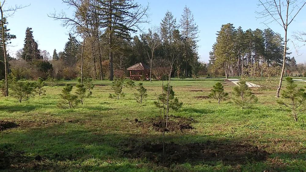 ������� ����� ��� � ����� �������� � ��������� ����� 15 ���