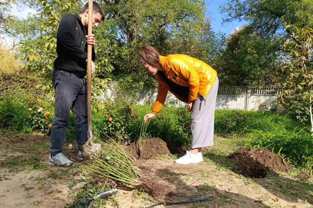 ����� ��������� ������ ��� � �������� �������� � ����������