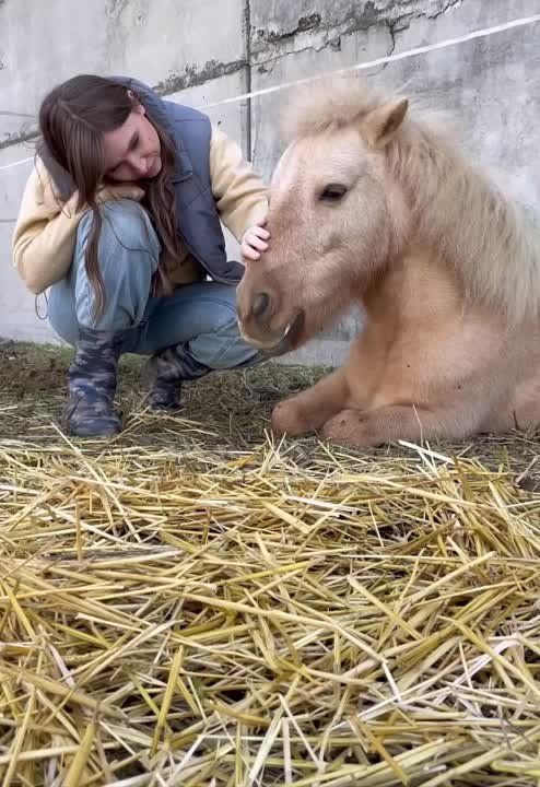 � ����� ������� ����������� ������ � ���� ��������� ������������ � ������ ����