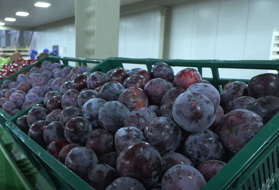 � ������������� ������� 14,9 ������ ���� �������