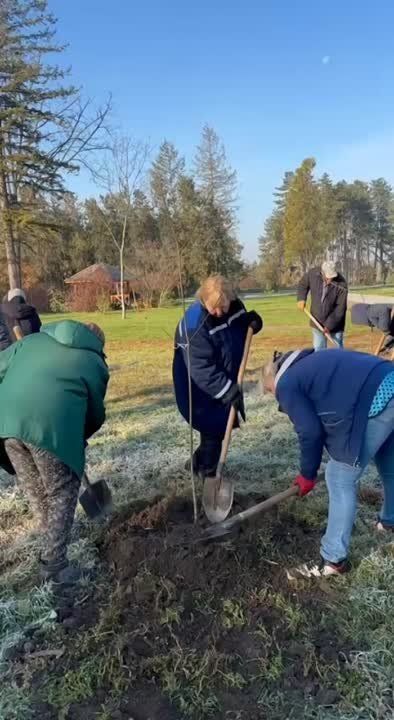 � ��������� ����������� ���������� 200 ���