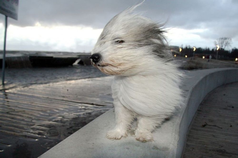 �������� ������� ���������: ������ �� ���������� ��������� �������� ������ ����� �� 15�18 �/�