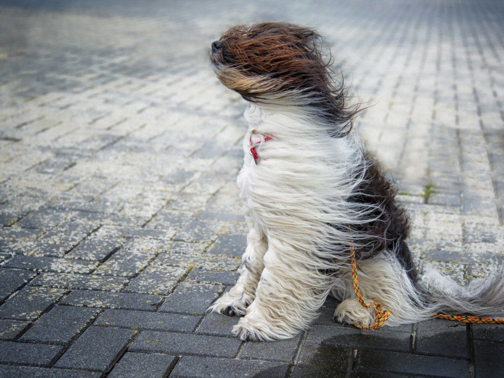 ������ � ������� ��� �� ���������� ��������� �������� ������ ����� ������ �� 15�18 �/�