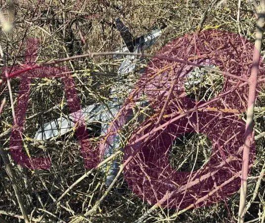 ������ ������� ���������� ������������ ������ ������������ � ������, ������� ������� ���������, ��� ��������� ������ �������� ������� �� ������ � ����� ���� �� ������� �������� ������������ �������