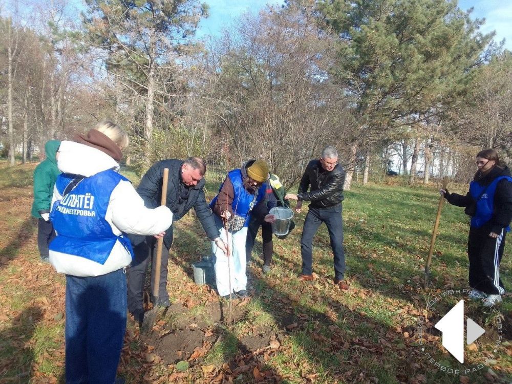 � ������� � ���������� ��� ������ ������ ����� �� ����������