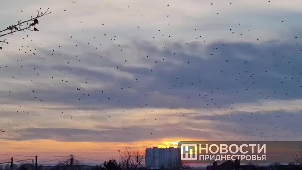 ������� ����� � ����� � ���������