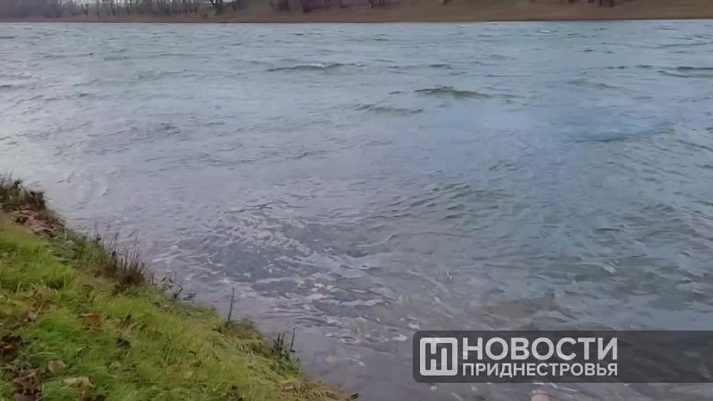 � ������������� ������� �������