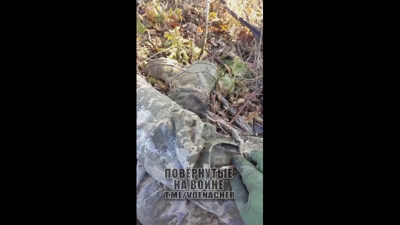 ���������� ����� �� �������� ����������� ��� ������