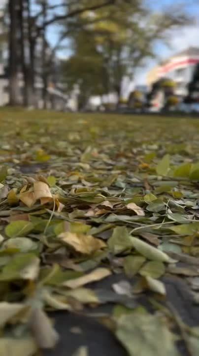 ������� ��������