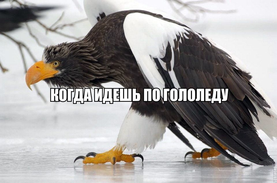 ���� ������� ������ � ������������� ����� ����������