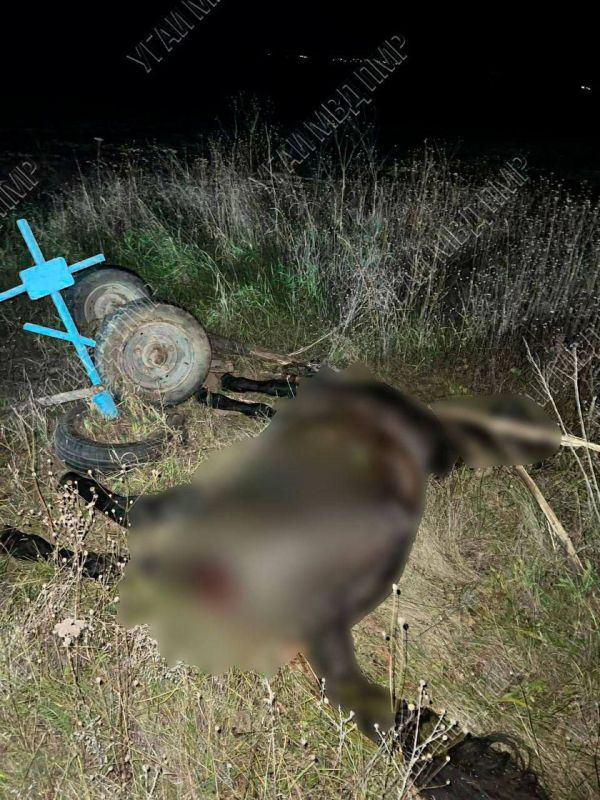 � ���� ������ ������ ��������� � ������: ���� ������� �����, ������ � ��������