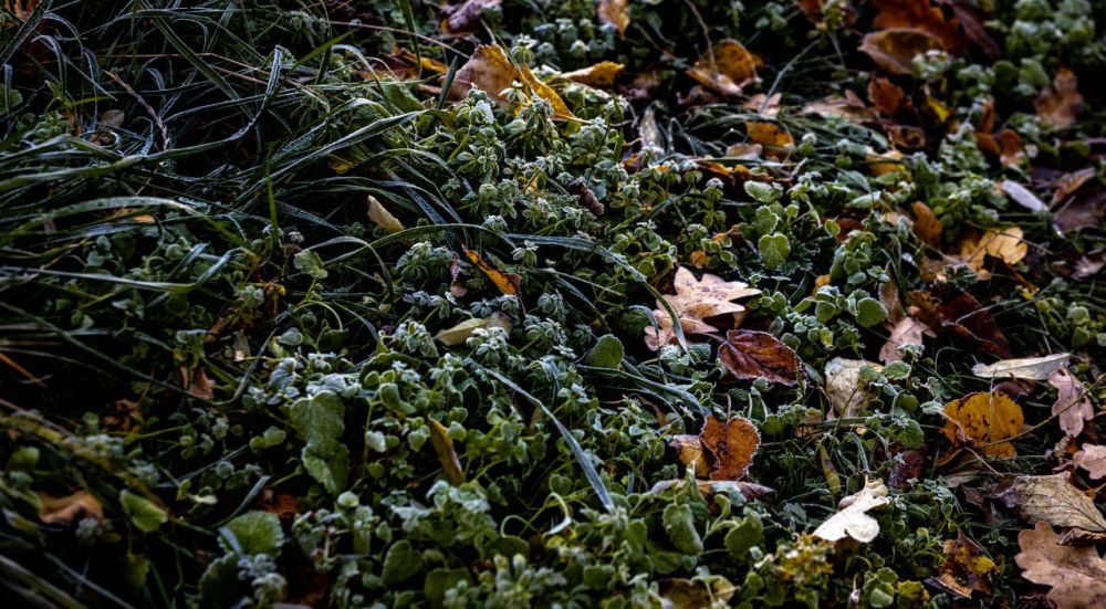 �������������: ������� ������� ��������� ������ �����������