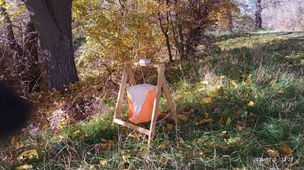 ���� ��������������� �������������� ������������� � ������������ �������