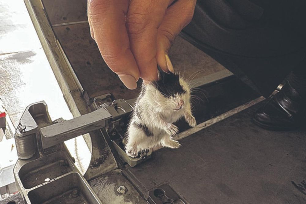 � ��������� ���������� �� ������ ������� ������� ��-�� ������ 130 �������