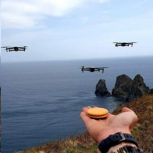 ������� ����� ������� ��� ������ ������