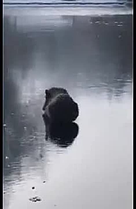 ������ �� ����� � ������. ������� ����� � ������ ����� ������� �� ������� ����������. �������� ������� ���������