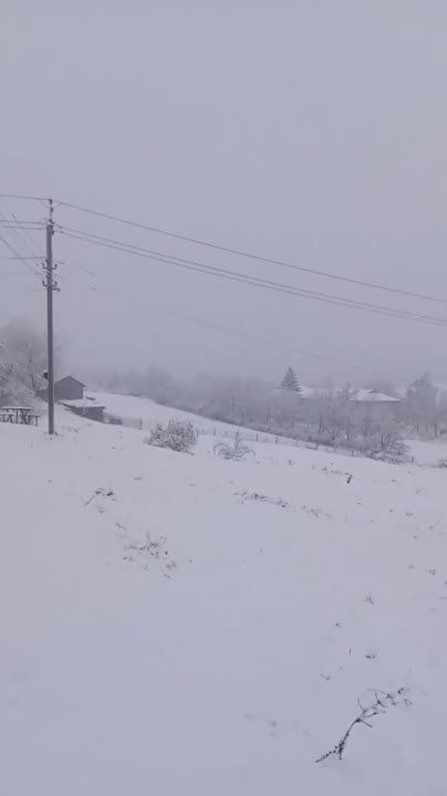 ������� ������� ���� ����� (�������� �������)