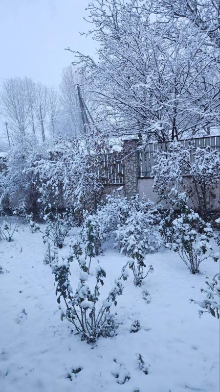 ��������� ����� ���� ��� ���������