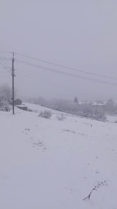 ������� ������� ���� ����� � ��������� ������ �������