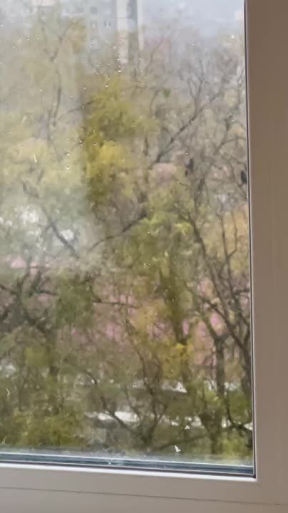 � ��������� �� �������� ��������� ���� � ����� �� ����