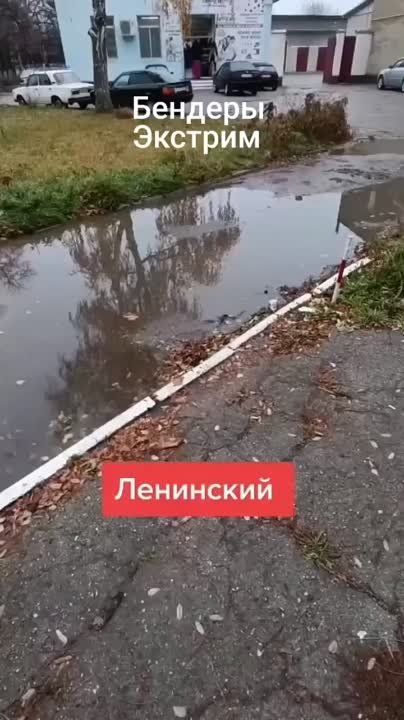 ���� �� ��������� � ��������