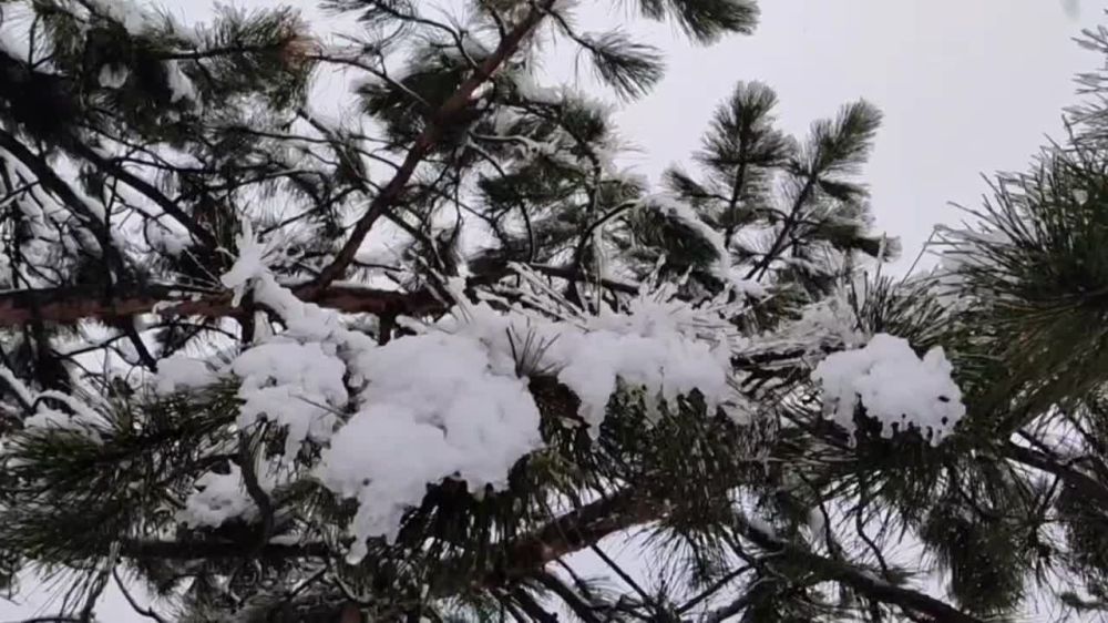 � ������� � �����-����