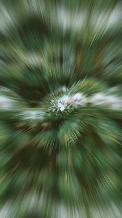 ������ ������� ������� � � ���������