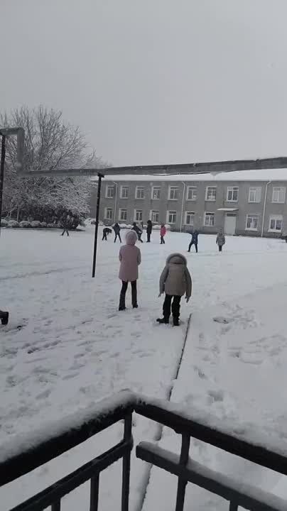 �������� � ������ �� ������ ������������� ������� �������� ��� �����������