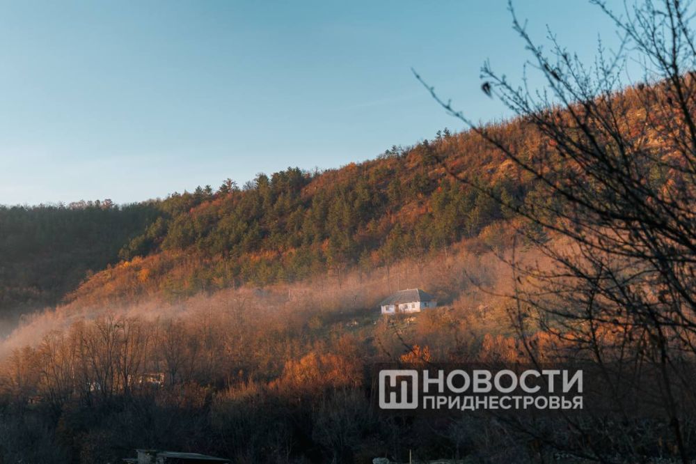 � ��������� ��� ����� ����� �������� �������, ��������� ������� ���������� ������������� ������� ���������