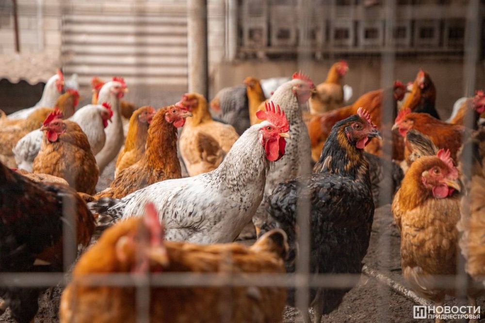 ������� �������� ������ ��-�������� ����������� � 4 ��������� ������� ������������� � ����������� ������� �������