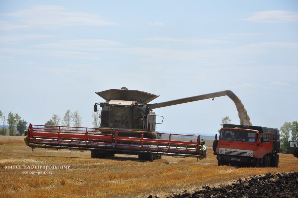 � ���������� ������������ ������ ������