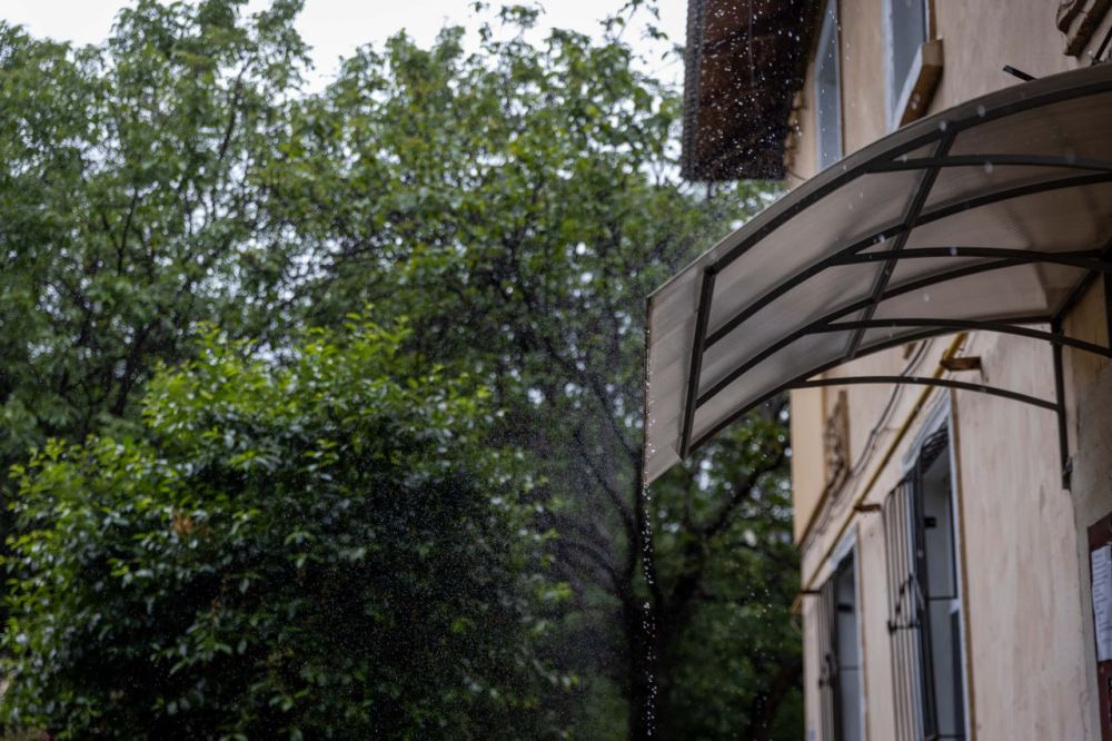 ������������� ������� ���������: