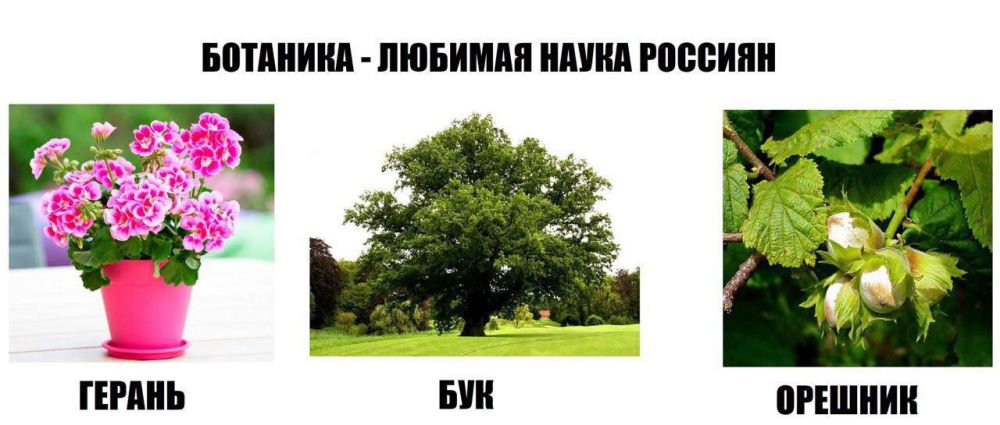 �������� - ����������� �����!