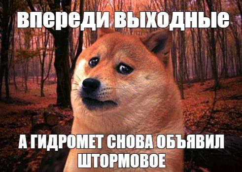 �������� ������������� � �������� ������� ����� � ������ �����: ��������� ������� ������ � ����� �� 15-18 ������