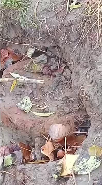 ���������� ����� ����� ������ ���� ����� �� ������ ������� - � ��������