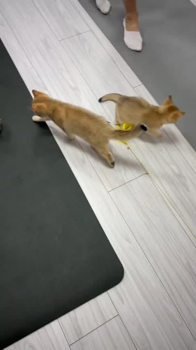 ����� ����� ������� ���������� ������