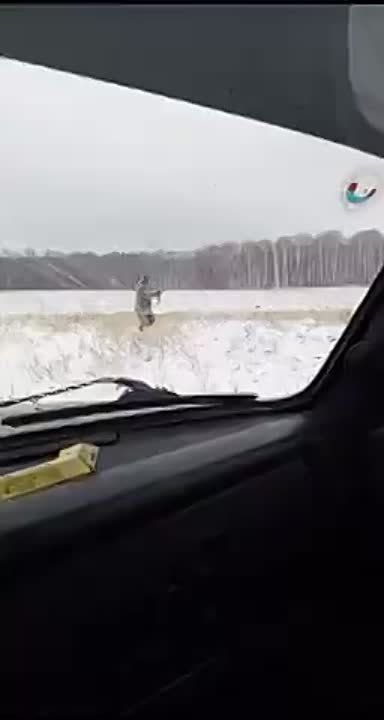 � ������ ���� ������� ����� �� �������� � ����� ������� ��������� ��������� � ����