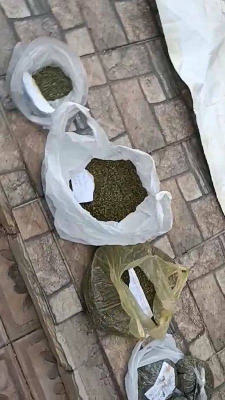 �� ������� �������� ���� � ��������� ��������� ������������ ���������� ���������, ������������� � ������ � ����������