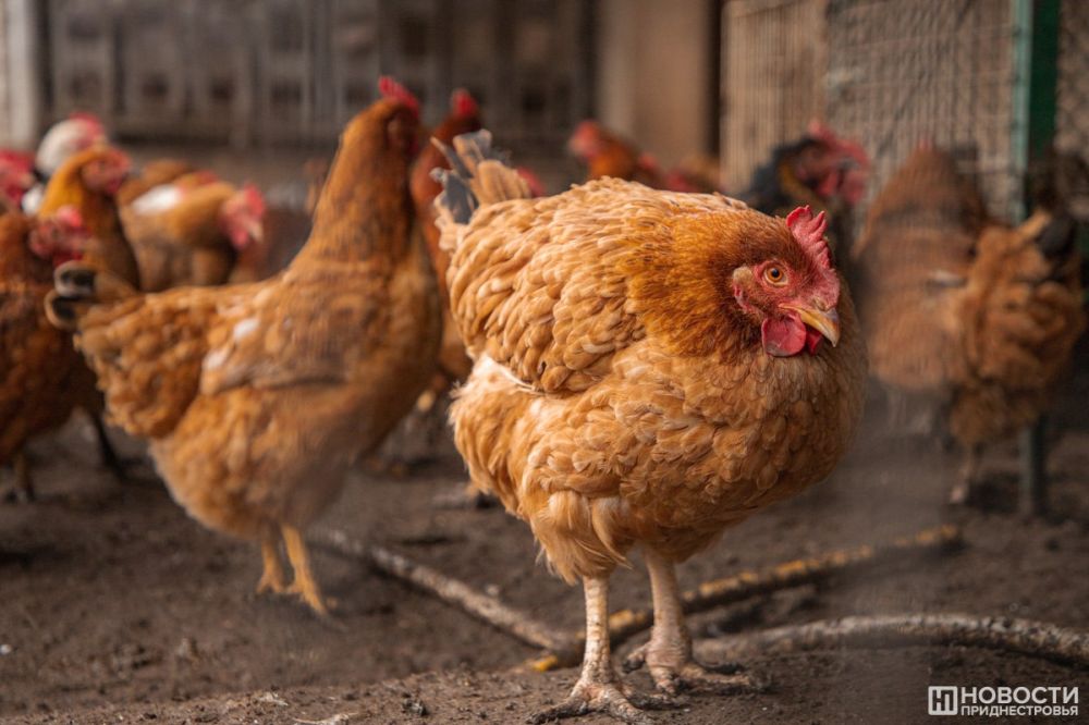 ����� ����� �������� ������ �������� � ��������� ������� �������