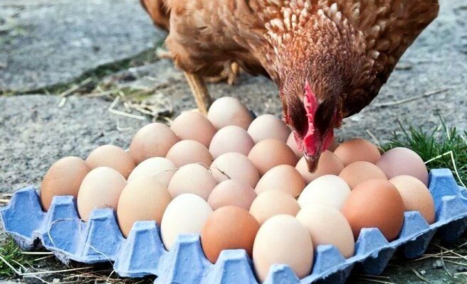 ��������������� ���������� �������� � ����� �������� �������� ������ � �������